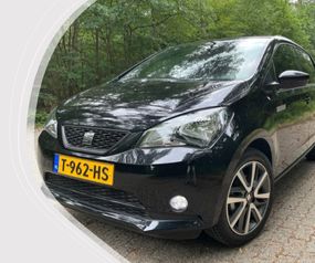 Mii electric 2020